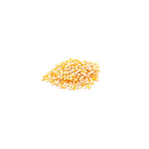 Maize